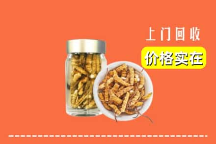 收购资讯:肇庆封开县回收散虫草