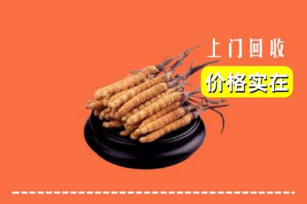 收购资讯:肇庆封开县回收冬虫夏草